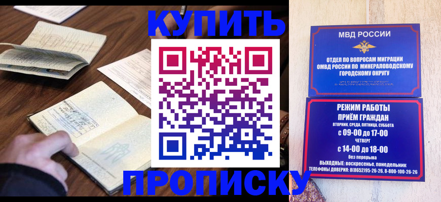 прописка для школы в Щёлково